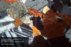 Gabro-norita anfibólico, piroxénica en las inmediaciones de Zapucay, Isla cristalina de Cuñapiru, Vichadero, Rivera. Doctor Henri Masquelin